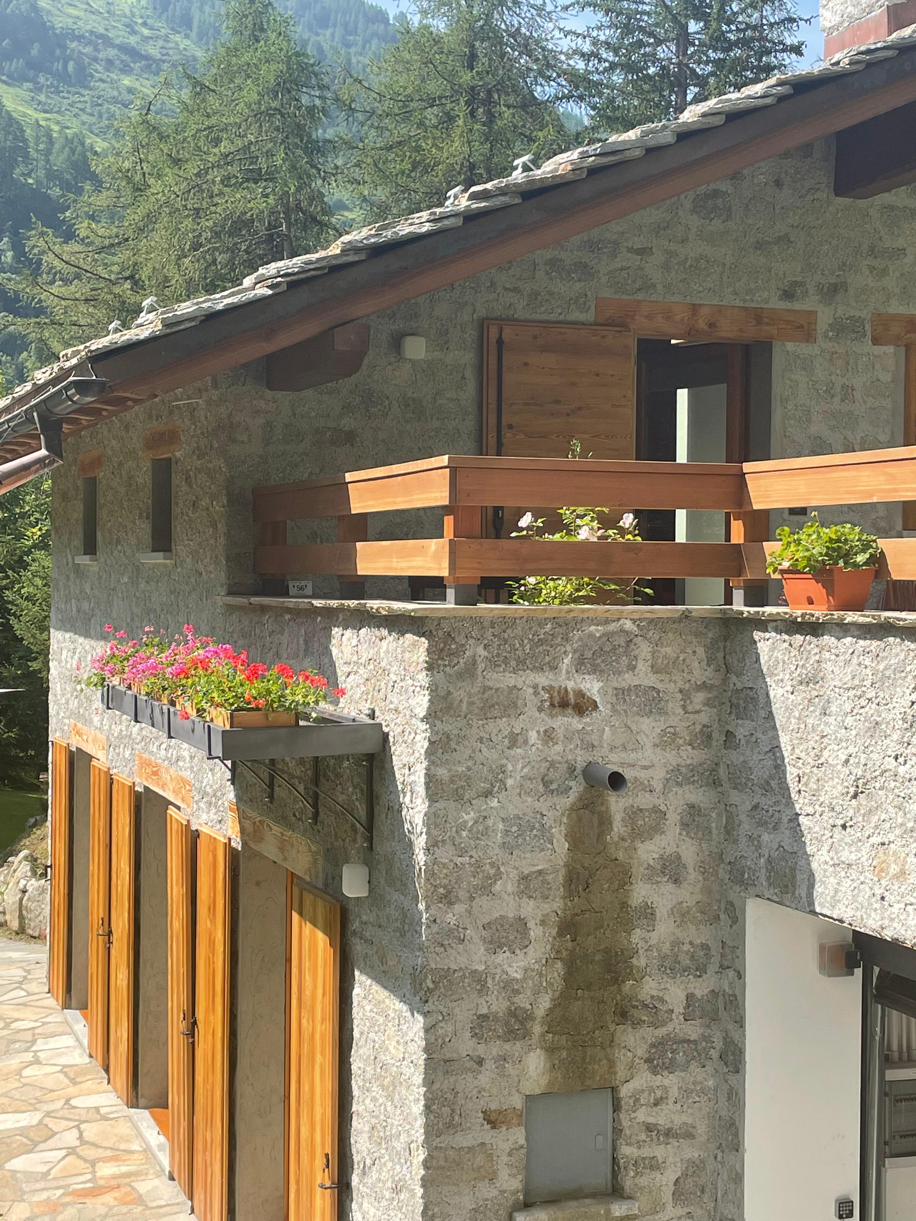 Chalet and surroundings